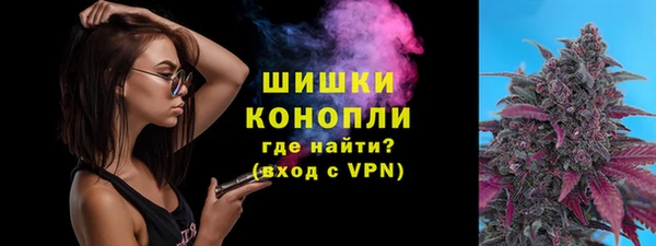 PSILOCYBIN Богородск