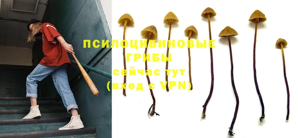 прущие крисы Богородицк