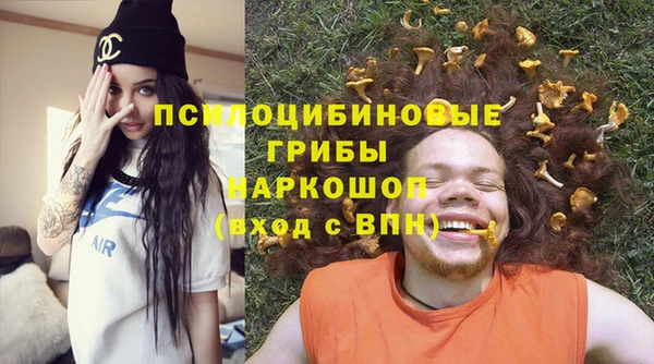 PSILOCYBIN Богородск