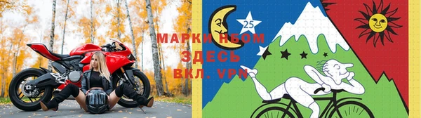 PSILOCYBIN Богородск