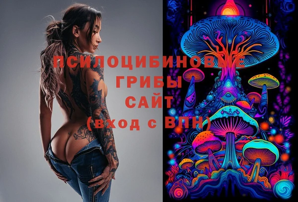 трава Богданович